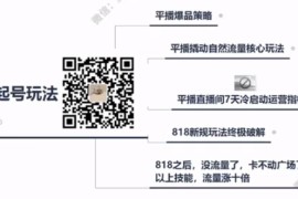 818之后全新平播起号攻略