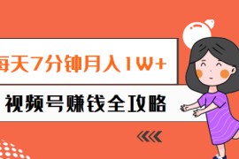 每天7分钟月入1W+，视频号赚钱全攻略，普通人也能操作 （58节视频课）