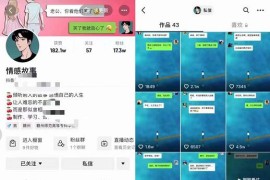 情感故事对话号教学，手机操作，吸粉能力超强的起号思路，值得学习