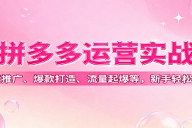 拼多多运营实战，付费推广、爆款打造、流量起爆等，新手轻松起店
