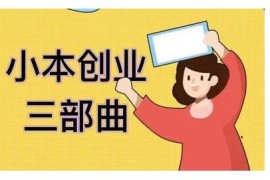 老严·小本创业三部曲