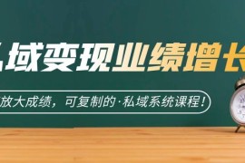 私域·变现业绩增长：快速放大成绩，可复制的·私域系统课程