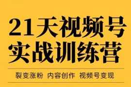 21天视频号实战训练营，裂变涨粉、内容创作、视频号变现（价值298元）