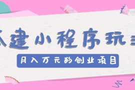 搭建小程序玩法分享，如何开启月收入万元的创业项目