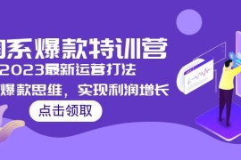 淘系爆款特训营，2023最新运营打法，学习爆款思维，实现利润增长