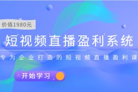 短视频直播盈利系统 专为企业打造的短视频直播盈利课（价值1980元）