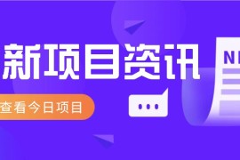 3月最新vx跳核对教程，外面在卖88-388的技术
