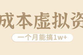 相当暴利的虚拟资源项目，无需成本一个月能搞1w+