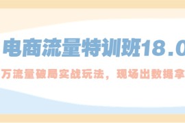 电商流量特训班18.0，直引万流量破局实操玩法，现场出数据拿结果 