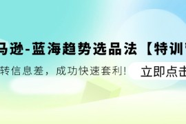 亚马逊蓝海趋势选品法【特训营】：玩转信息差，成功快速套利