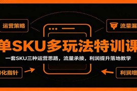 单SKU多玩法特训课：一套SKU三种运营思路，流量承接，利润提升落地教学