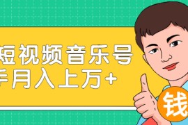 玩转短视频音乐号，成本低利润高新手月入10000+实战教程（视频教程）