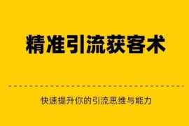 精准引流+私域营销+逆袭赚钱（三件套）快速提升你的赚钱认知与营销思维