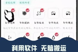 最新蓝海独家玩法，利用软件无脑搬运，小白轻松日入1000＋