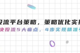 投流平台策略，策略优化实操，解决投流5大痛点，4步实现精准引流