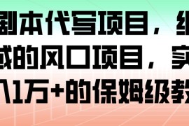 AI剧本代写项目，细分领域的风口项目，实测月入1万+的保姆级教程
