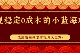 正规稳定0成本的小蓝海项目，依靠数据恢复实现月入过万+