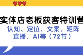 实体店老板获客特训营：认知、定位、文案、矩阵、直播、AI等（73节）