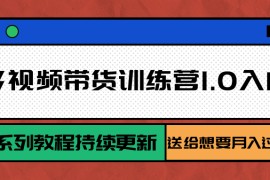 多多视频带货训练营1.0入门篇，全套系列教程持续更新，送给想要月入过万的你