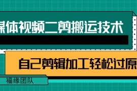 详细教你自媒体视频二剪搬运技术，自己加工轻松过原创【视频教程】