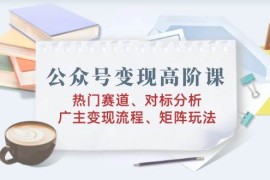 公众号变现高阶课：热门赛道、对标分析、广告主变现流程、矩阵玩法