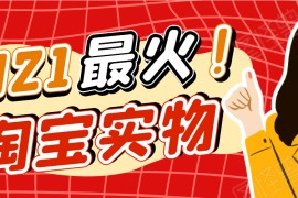 东哲·淘宝赚钱第一期