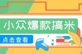 适合普通人的小众爆款搞米赛道，制作极其简单，月收益5000+
