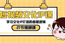 短视频文化IP课，学习文化IP打造的底层逻辑（21节课）