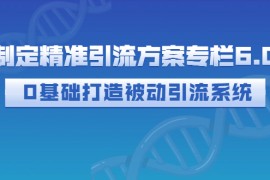 制定精准引流方案专栏6.0：0基础打造被动引流系统（价值1380元）