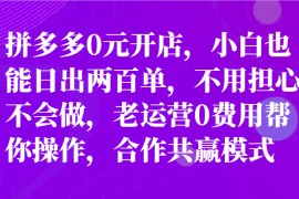 最新拼多多优质项目小白福利，两天销量过百单，不收费、老运营代操作