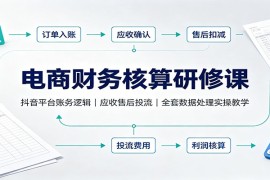 电商财务核算研修课：抖音平台账务逻辑，应收售后投流，全套数据处理实操教学