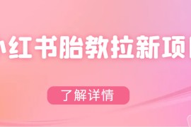 小红书胎教网盘拉新项目，可在私域变现两次（作品制作教程+素材）