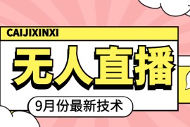 最新无人直播技术，轻松玩转无人直播（附软件） 