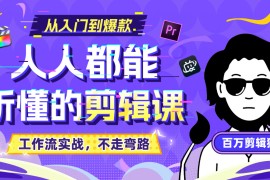 B站收费课程《人人都能听懂的剪辑课》百万剪辑师实战教学【无水印版】
