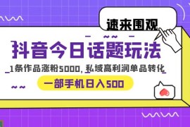 抖音今日话题玩法，1条作品涨粉5000，私域高利润单品转化 一部手机日入50