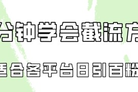 十分钟学会各大平台节流，矩阵日引几百创业粉（像素级教程）！