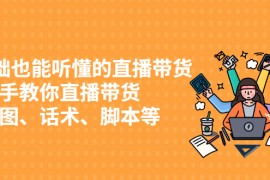 0基础也能听懂的直播带货，手把手教你直播带货 链路图、话术、脚本等