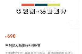 中视频无脑搬砖训练营，纯视频剪辑搬运，轻松上手批量起号，工作室可放大