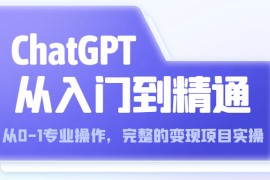 ChatGPT从入门到精通 从0-1专业操作，完整的变现项目实操（视频+文档）
