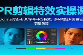 PR剪辑特效实操课：Colorista调色+BBC字幕+RG特效，多风格短片剪辑包装