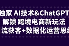 独家AI技术ChatGPT解锁 跨境电商新玩法，引流获客+数据化运营思维