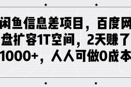 闲鱼信息差项目，百度网盘扩容1T空间，2天赚了1000+，人人可做0成本