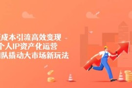 低成本引流高效变现，个人IP资产化运营，小团队撬动大市场新玩法