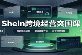 Shein全托管商家增长实战课：选品运营全链路优化 自研工具破解单量利润双瓶颈