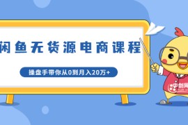  龟课·闲鱼无货源电商课程第20期：闲鱼项目操盘手带你从0到月入20万+