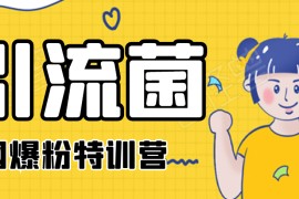 引流菌全网爆粉特训营（QQ群霸屏，知乎引流，群裂变，自动化引流等）