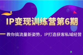 IP变现训练营第6期：教你搞流量新姿势，IP打造获客私域经营