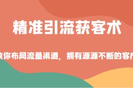 精准引流获客术，教你布局流量渠道，拥有源源不断的客户