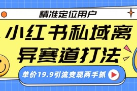 小红书私域离异赛道打法，精准定位，单价19.9引流变现两手抓
