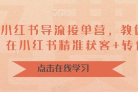 16天-小红书 导流接单营，教你引爆流量，在小红书精准获客+转化成交